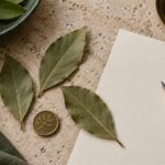 Bay leaves, a brass coin and a pencil beside blank cream paper